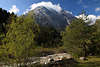 810822_ Gaistal in Tirol Berglandschaft Naturfoto, grünes Naturparadies am Gaistalbach unter Hohe Munde
