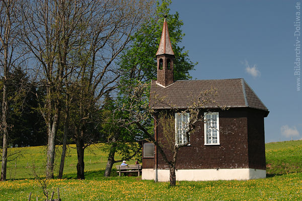 Amenegg Kapelle Alm grüngelb Blumenwiese Frühlingsblüte Besucher in Naturidylle Vorarlberg