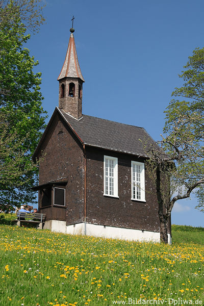 Kapelle Amenegg in Gelbwiese Frühjahrsblüte Foto unter Blauhimmel spitzer Glockenturm