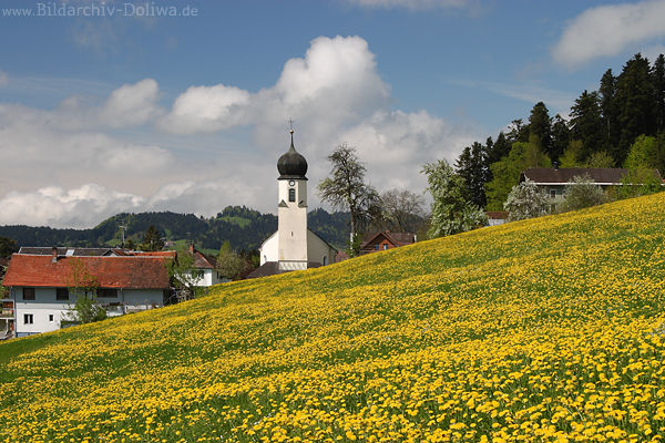 Doren Frühlingsblüte Naturfoto Gelbblumenwiese Bergdorf Kirche Häuser Wolkenstimmung