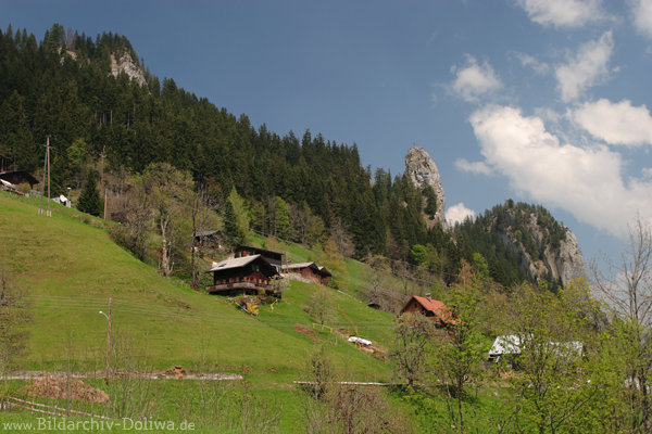 Steilhang Alpendorf Ebnit Naturfoto Berghang Felsen Grünwald Häuser Frühjahrsbild