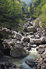 Rappenlochschlucht Wasserbach Naturfoto Felsbrocken in Ebnittal Bregenzerwald