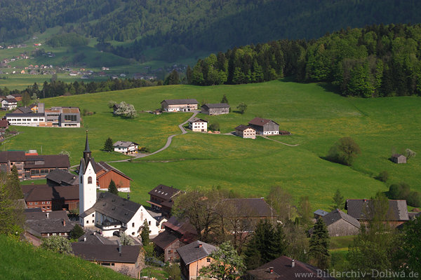 Hittisaufoto Dorfkirche Grünwiesen Bergdorf Naturidylle Bild Vorarlberg Alpental