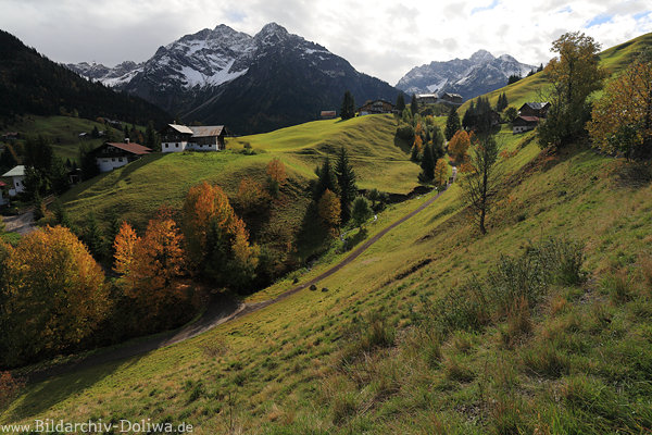 Kleinwalsertal Alpenlandschaft Naturfoto Gipfel Buckelwiese Grünhänge Wanderpfad