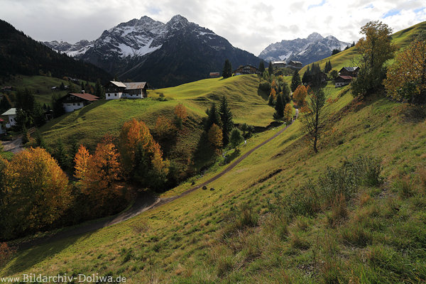Kleinwalsertal grne Buckelwiese Berghnge Naturfoto Alpenlandschaft Urlaub Wanderpfad Gipfelblick
