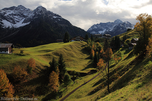 Kleinwalsertal Alpenlandschaft Naturfoto Gipfel bucklige Bergwiesen Lichtstimmung-Bild