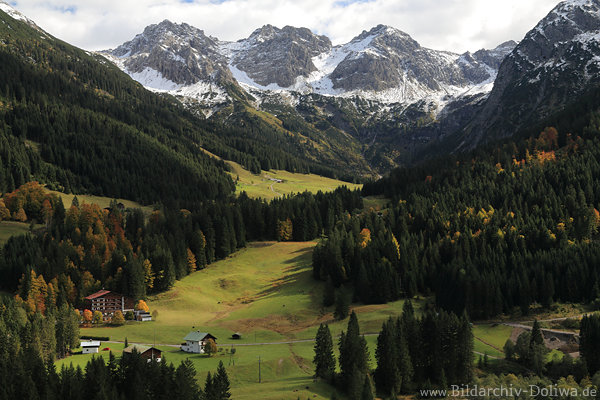 Wildental Almwiesen Alpengipfel Naturfoto Kleinwalsertal Hochgebirgstal Bergpanorama