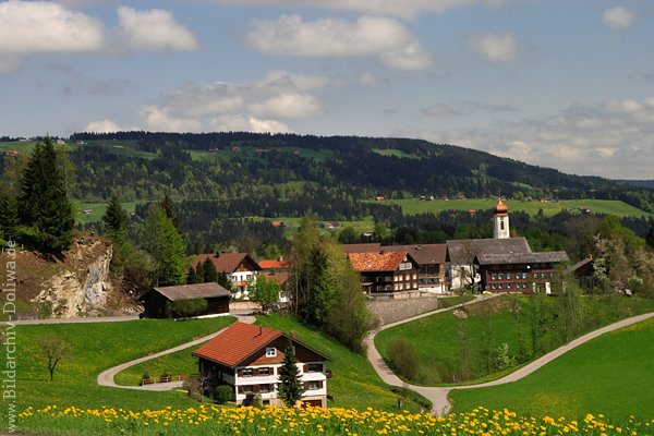 Bergdorf Krumbach Landschaftsfoto Vorarlberg Berglandwiese Frühlingsblüte Talblick