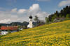 Doren Frhlingsblte Naturfoto Gelbblumenwiese Bergdorf Kirche Huser Wolkenstimmung