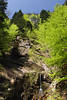 Steilhang Bregenzerwald Frühling Naturfoto Berghang Grünfrische Bäume Naturbild