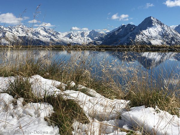 Alpensee in Schnee Ufergräser Berggipfel Zillertal Hochgebirge romantische Naturbild Winterfoto