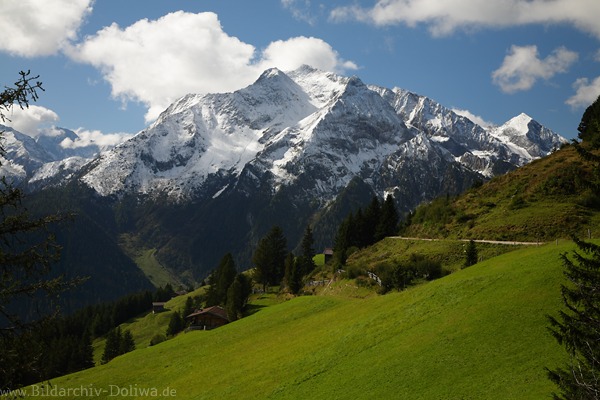 Grinberg in Schnee Gipfelfoto ber Zillertal Grnalme Berghang-Pfad Alpen-Naturbild