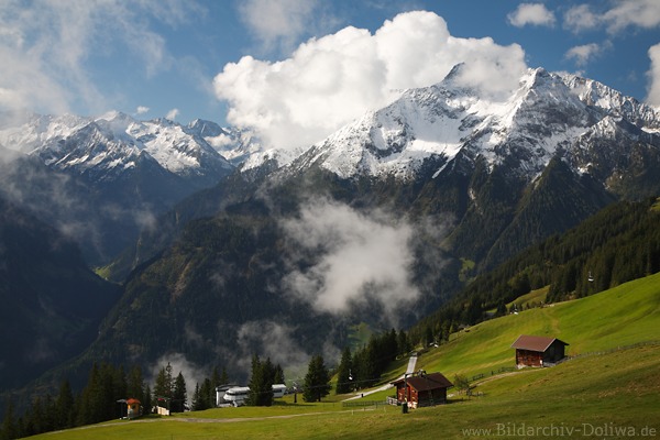 Grinberg Alpengipfel in Schnee Sonnlicht �ber Zillertal saftige Hangwiese Skilift Naturfoto