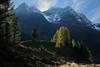Bretterspitzen Berge Skyline Lichtstimmung Naturfoto Baumhügel Alpenlandschaft Defereggental