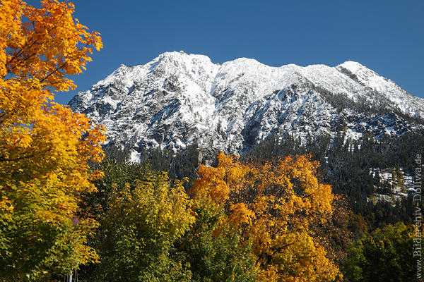 Alpen Bergmassiv Nebelhorn Schnee weisser Winter Allgäu Natur goldene Herbstfarben