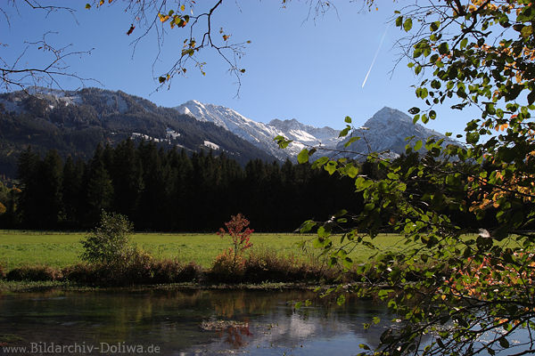 Iller Wasserufer Gipfelblick Naturfoto Allgäuer Alpen Flussblick über Grünwiese in Fischen