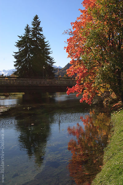 Flussufer Iller Wasserbrcke Herbstfarben Naturfoto Fischen in Allgu bunte Bume