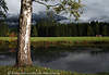 812646_ Allgäu Naturstimmung Foto unterm Baum am Ufer der Iller in Fischener Flusslandschaft mit Bergblick