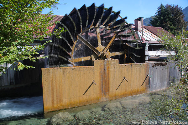 Schaufelrad Wassermhle Bad Hindelang am Ostrach in Allgu
