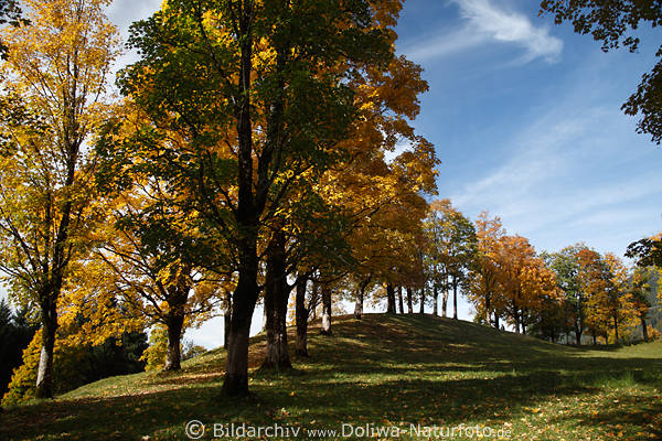 Oberstdorf herbstliche Berghgel Hofmannsruh Wanderpfad Baumallee