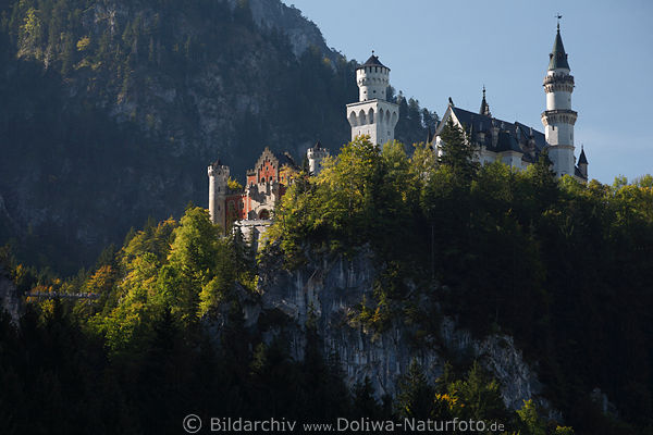 Mrchenschloss Neuschwanstein auf Fels in Allgu Alpenlandschaft bei Schwangau