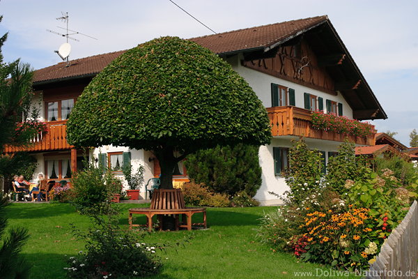 Schwangau Brunnen Allgäu Urlaubsidylle Pension grüner Garten am Forggensee