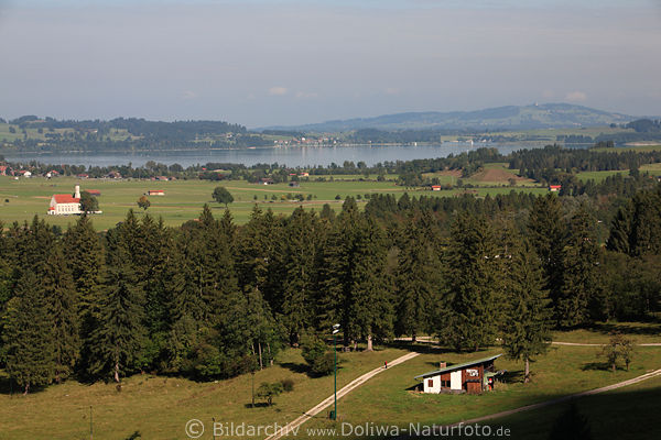 Schwangau Alpenvorland Wiesenebene bis Forggensee