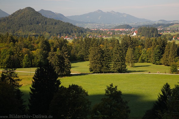 Schwangau Grnland Alpenvorland Naturfoto 811439 Waldwiesen-Landschaft