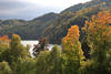 Weissensee Naturfoto: Uferb�ume Bergwald Wasserlandschaft Herbstbild Allg�u Alpensee bunte Farben