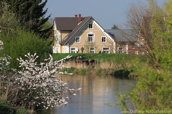 Altes Land an Este Fluwasser in Moorende Frhlingsblte