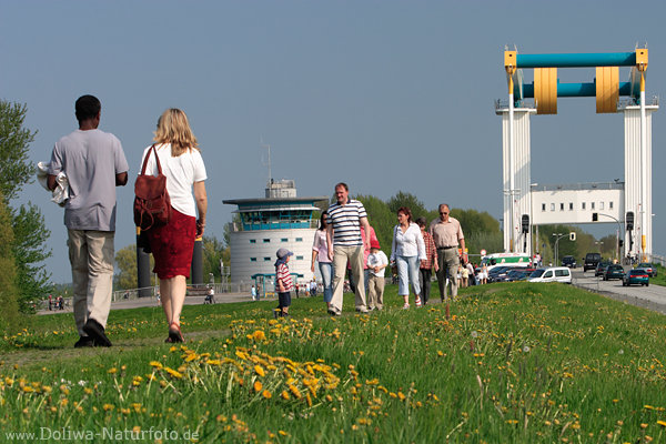 Elbdeichwiese Frhlingsblte vor Estebrcke bei Cranz Foto AltesLand Spaziergang