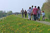 50756_Elbdeichblüte Altesland Familien Paare Hand in Hand Frühling-Spaziergang