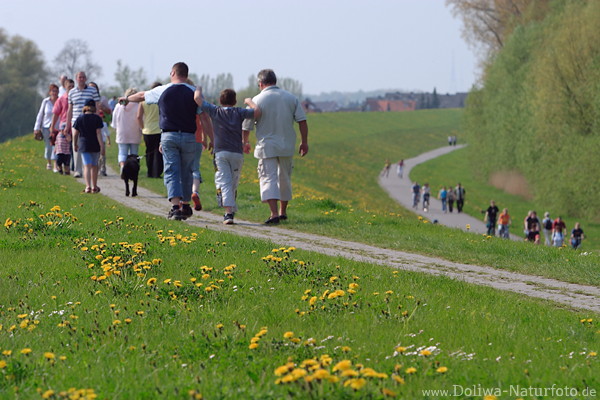 Elbdeichwege Besucher Altesland Familien Frhlingsblte Spaziergnger