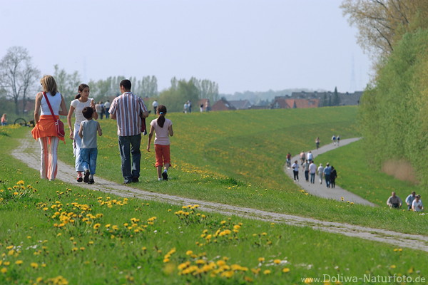 Elbdeichwege Altesland Frühlingsblüte Familien Spaziergänger