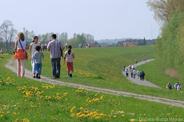 Elbdeichwege Altesland Frhlingsblte Familien Spaziergnger