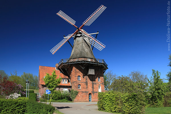 Windmühle Jork Altesland Backsteinbau im Grünen vor Blauhimmel