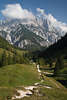 913294_Reiteralpe Berg ber Bindalm Naturfoto grne Almwiesen geschlngelte Wanderpfade