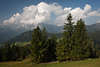 913508_Hochschwarzeck Bergpanorama vom Hirschkaser Naturbilder Bergblick ins Grntal Waldbume Landschaft