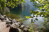 914291_Knigsseeufer Landschaft Naturbild grner Oase Steine mit Bumen am Wasser in Sonne getaucht
