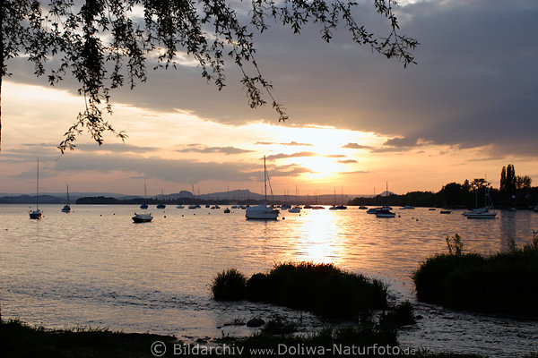 Allensbach Urlaub Romantik Sonnenuntergang Bild ber Gnadensee Wasser Segelboote