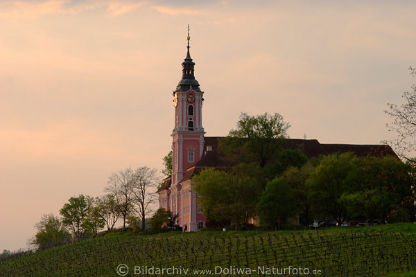 Birnau Wallfahrtskirche St. Maria wie Schloss am Hgel ber berlinger See thronend