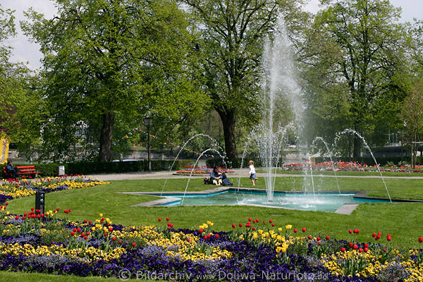 Insel Lindau Wasserbrunnen Park Wasserfontäne Frühlingsblumen Grünzone