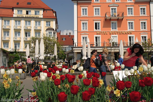 Lindau Urlaubsfeeling Hafen-Blumenpromenade Touristenidyll vor Altstadt Hotels