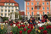 Lindau Urlaubsfeeling Hafen-Blumenpromenade Touristenidyll vor Altstadt Hotels