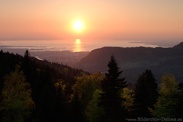 Bodensee Sonnenuntergang Foto Romantik ber See Dunst rosa Farben Weitblick Stimmungsbild