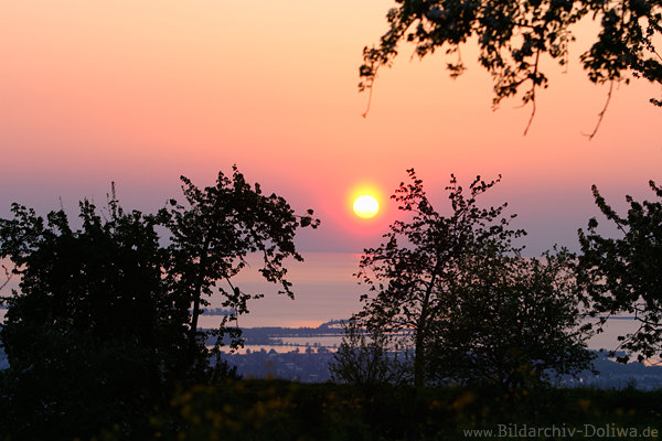 Sonnenuntergang ber Bodensee Abendstimmung-Foto
