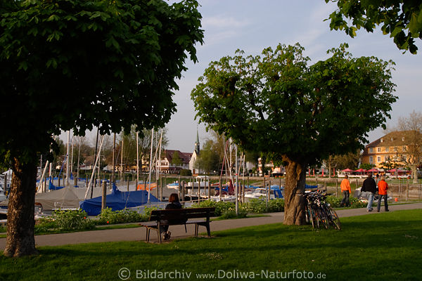Unteruhldingen Allee Seepromenade Yachthafen Bodensee berlinger See