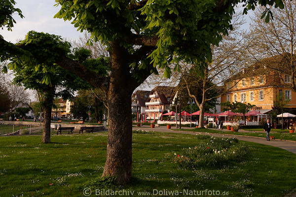 Uhldingen-Mhlhofen Park Seepromenade am Hafen berlinger See
