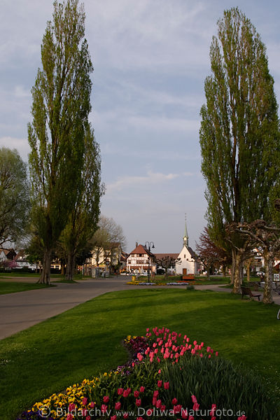 Uhldingen Kirche Allee Hochbume Blumen berlinger-Seeufer