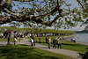 601497_ Radolfzell Landschaft Foto Zeller Seeufer Spaziergänger unter Bäumen an Hafenmole